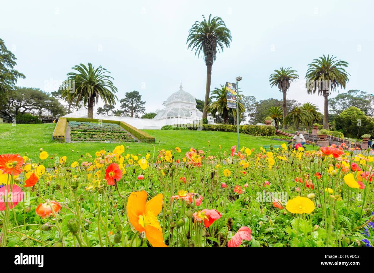 The garden of the Conservatory of flowers in San Francisco, California