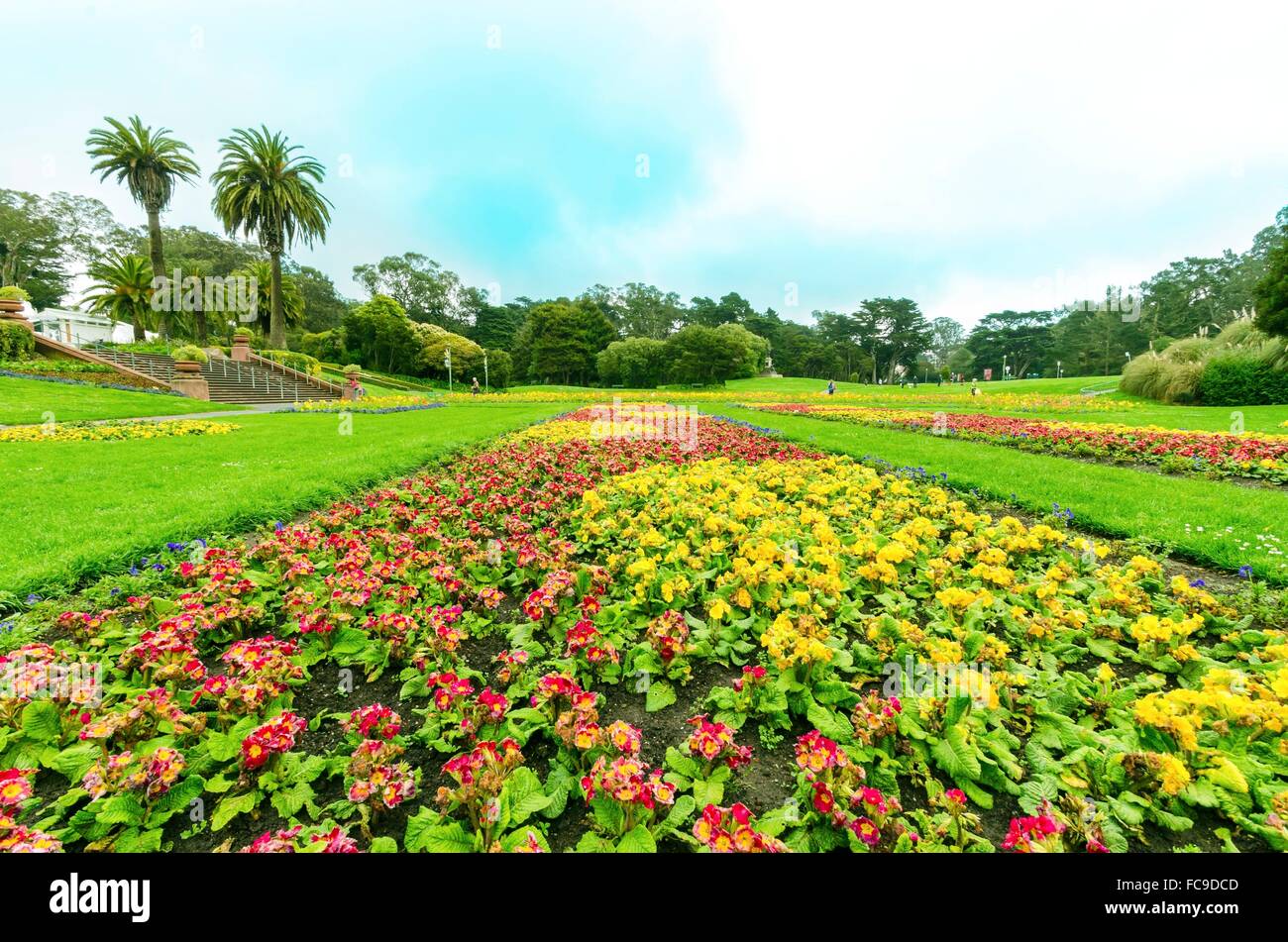 Greenhouse Botanical Garden San Francisco High Resolution Stock