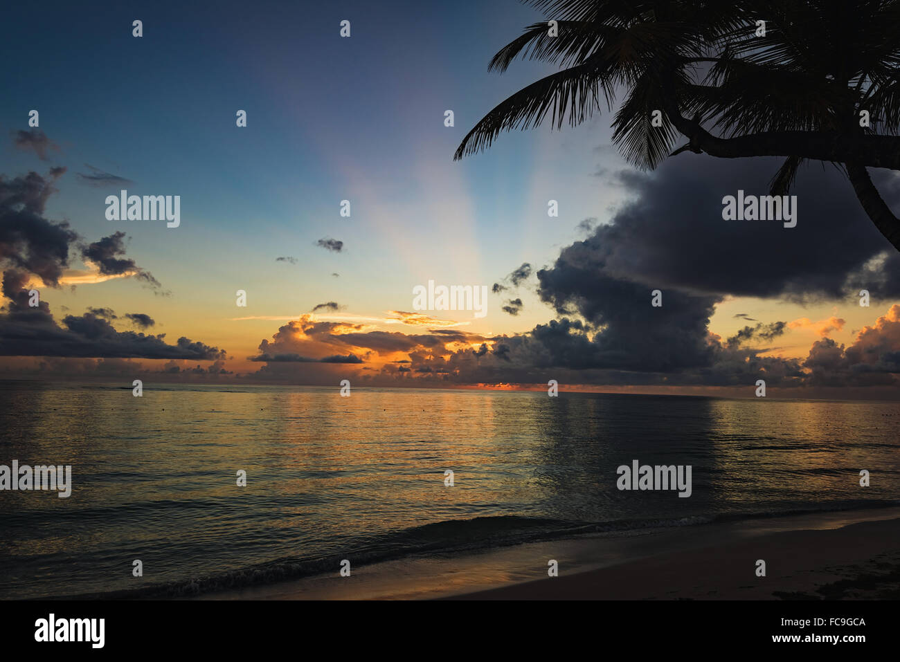 sunset silhouette of palm trees Stock Photo - Alamy