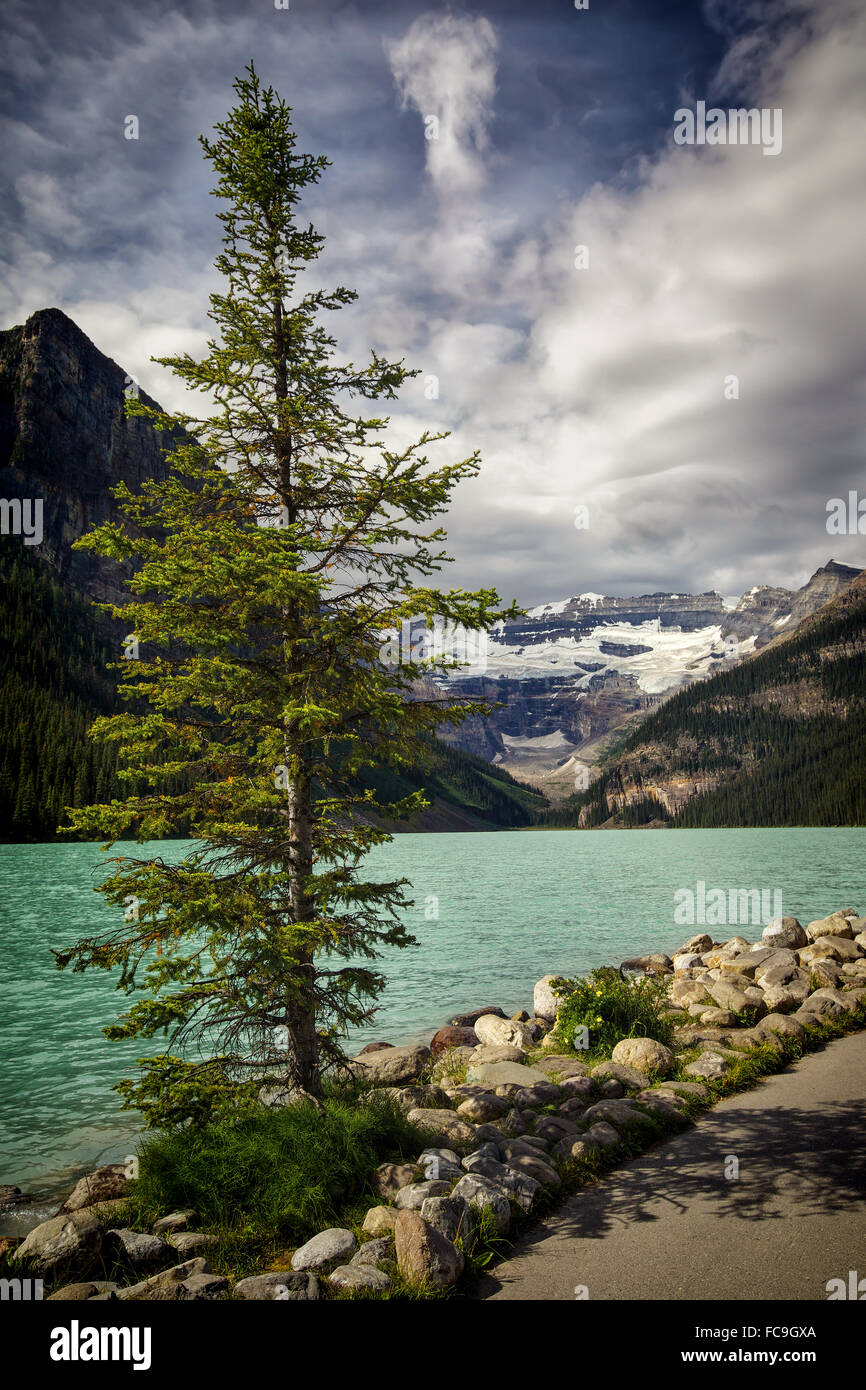 View of Lake Louise in Banff National Park, Alberta, Canada. Stock Photo