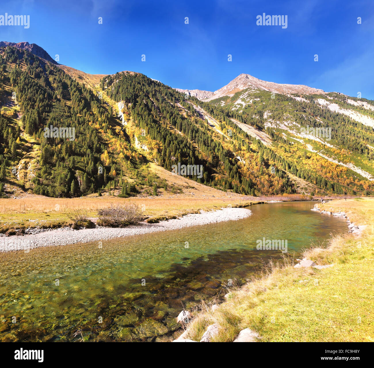 Quick stream of clear water Stock Photo - Alamy