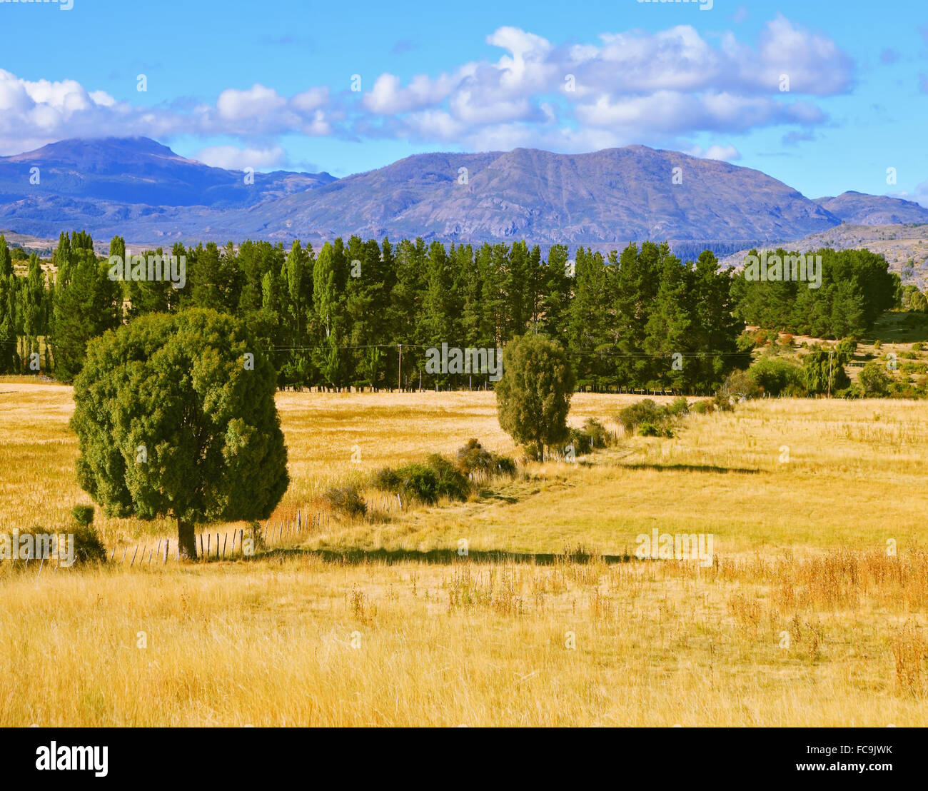 The fields after the harvest Stock Photo - Alamy
