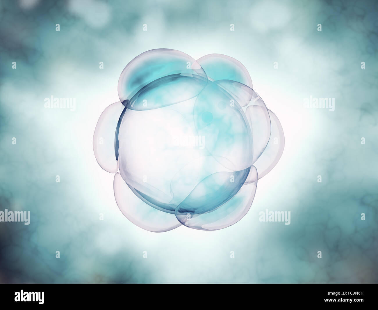 Embryo cleavage - scientific 3d illustration Stock Photo