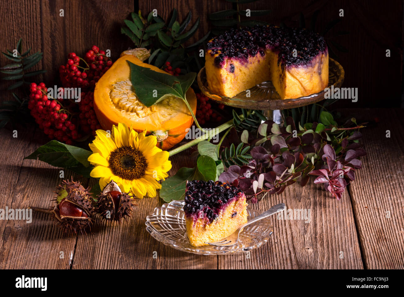 Autumn pumpkin cheesecake with cranberries Stock Photo