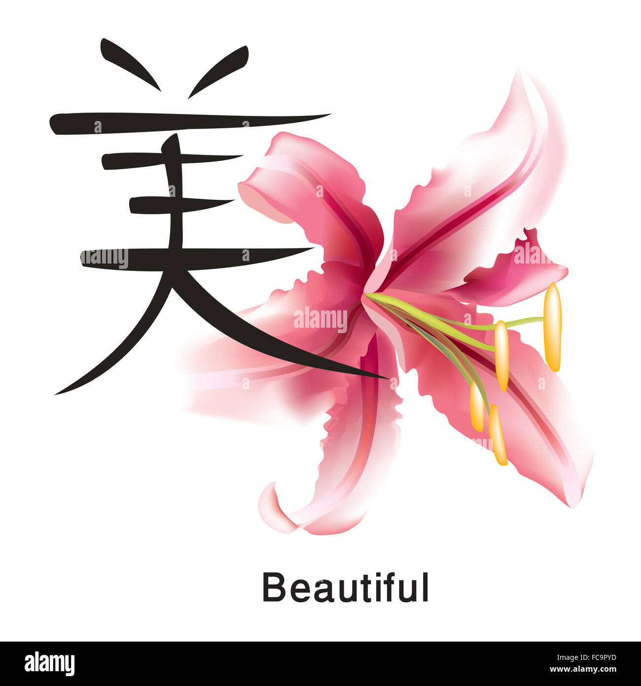 китайский язык цвета карточки. серый цвет на китайском языке. растения в китайском языке. японские иероглифы. пион японская лилия.