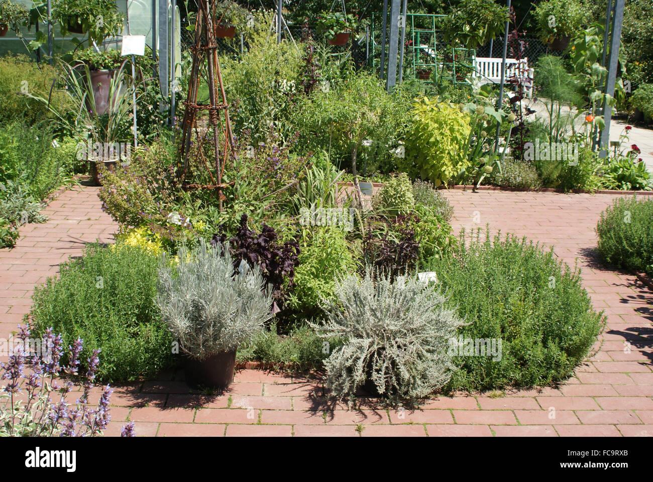 Herb-garden Stock Photo