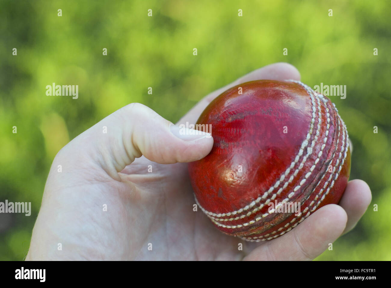Hand Holding Cricket Ball Stock Photo
