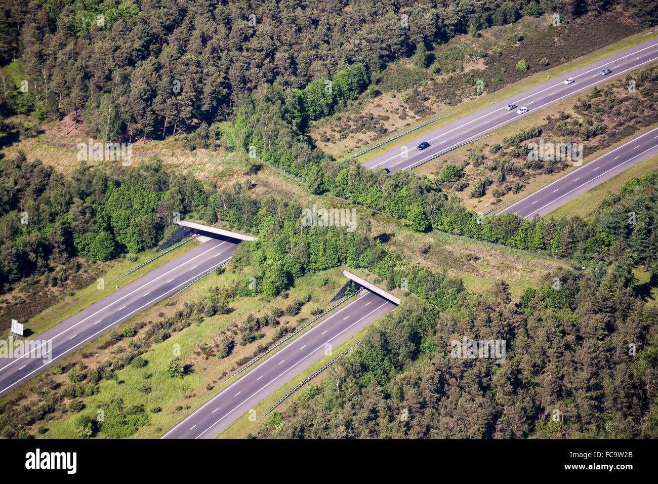 The Netherlands, Kootwijk. Ecoduct crossing A1 highway. Aerial Stock
