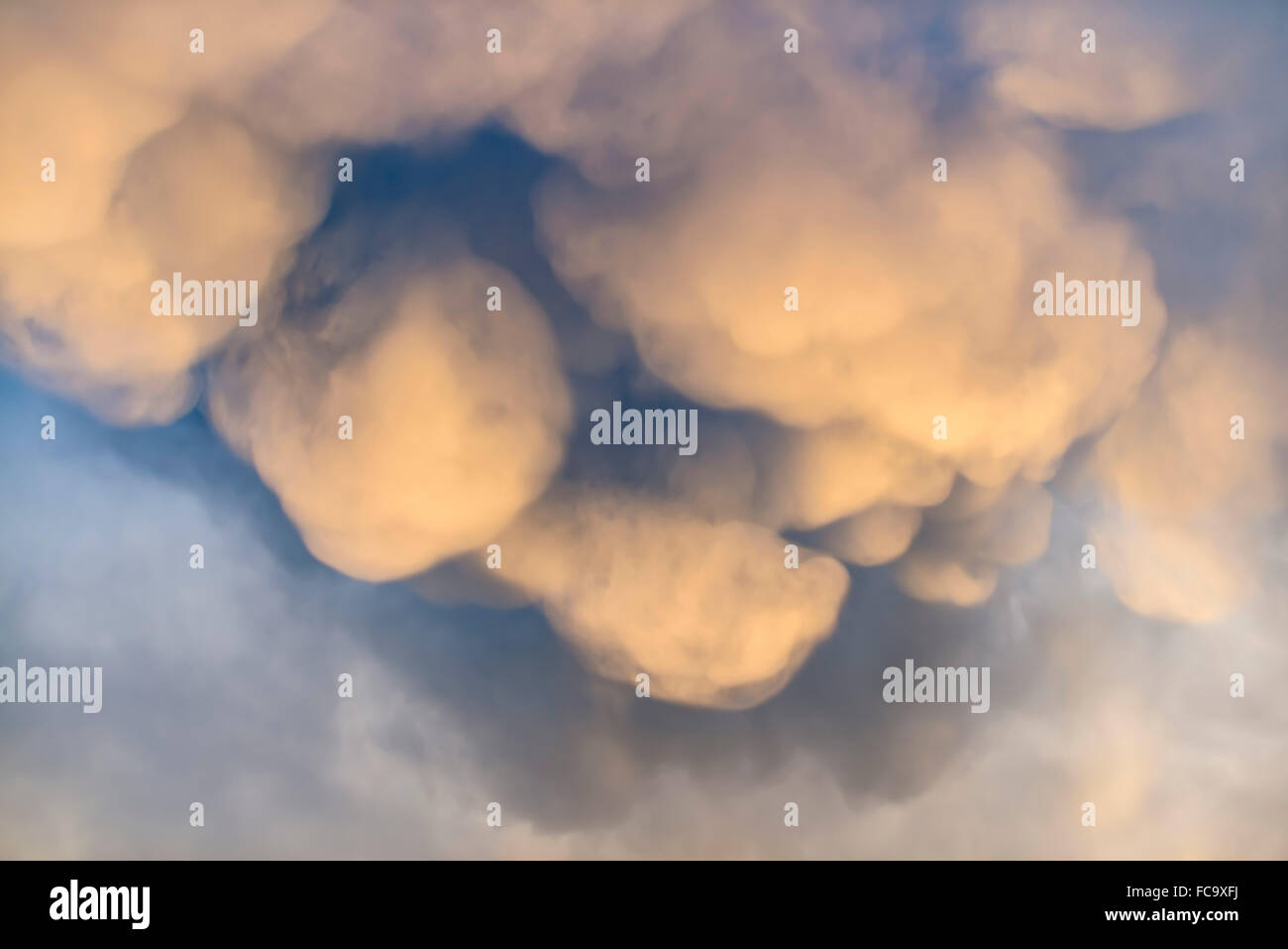 Cumulus mammato Cumulonimbus mamma cloud clouds at the evening England UK Europe Stock Photo