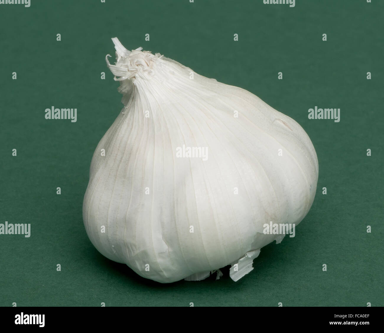 Whole head of garlic Stock Photo Alamy