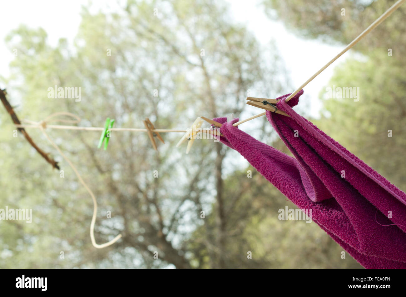 Clothes dryer on tree branch Stock Photo Alamy