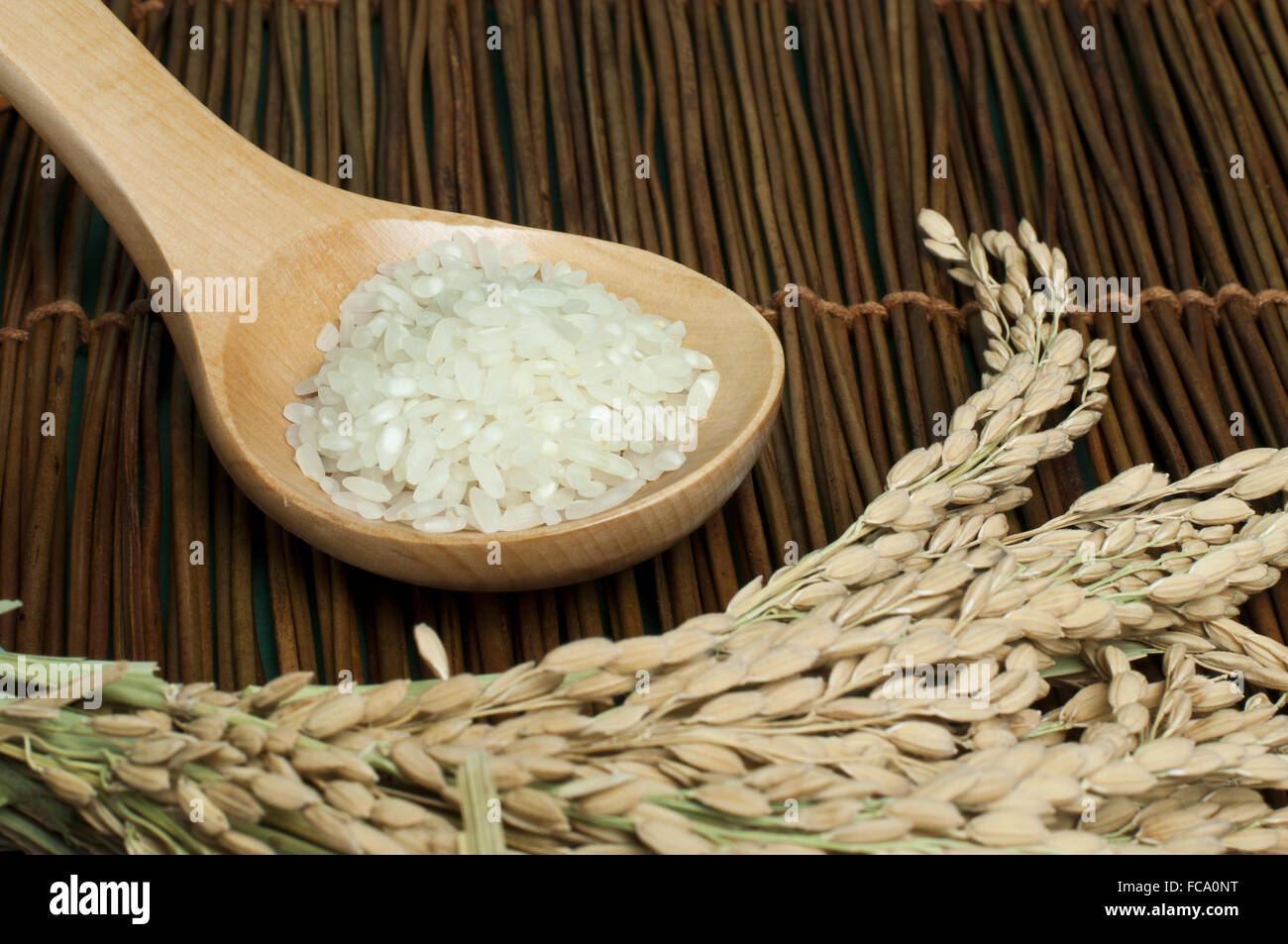 Baldeng Rice Rice baldo in wooden spoon Stock Photo - Alamy
