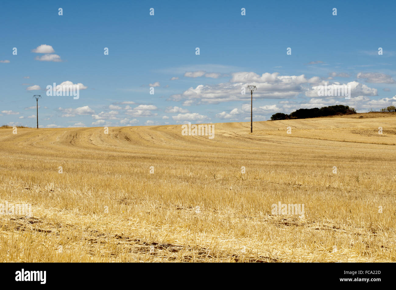 Agricultural concepts hi-res stock photography and images - Alamy