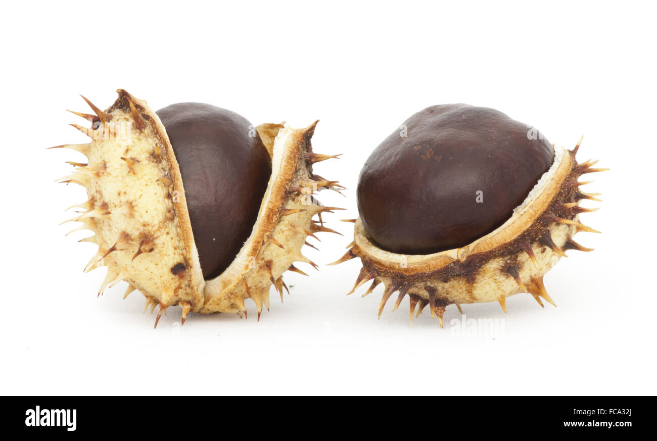 Chestnuts with shell Stock Photo - Alamy