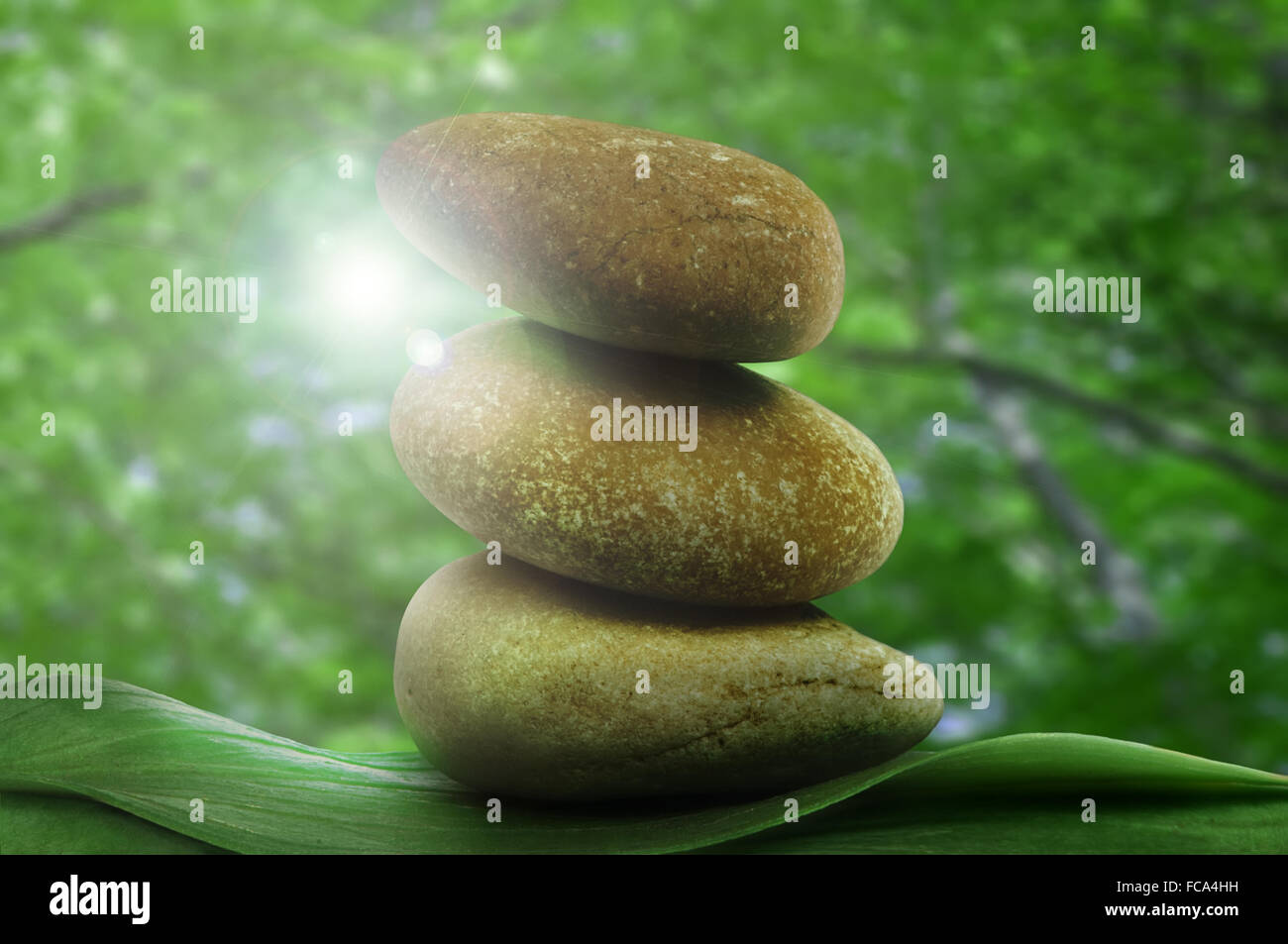 Stacked stones on base of green leafs Stock Photo - Alamy