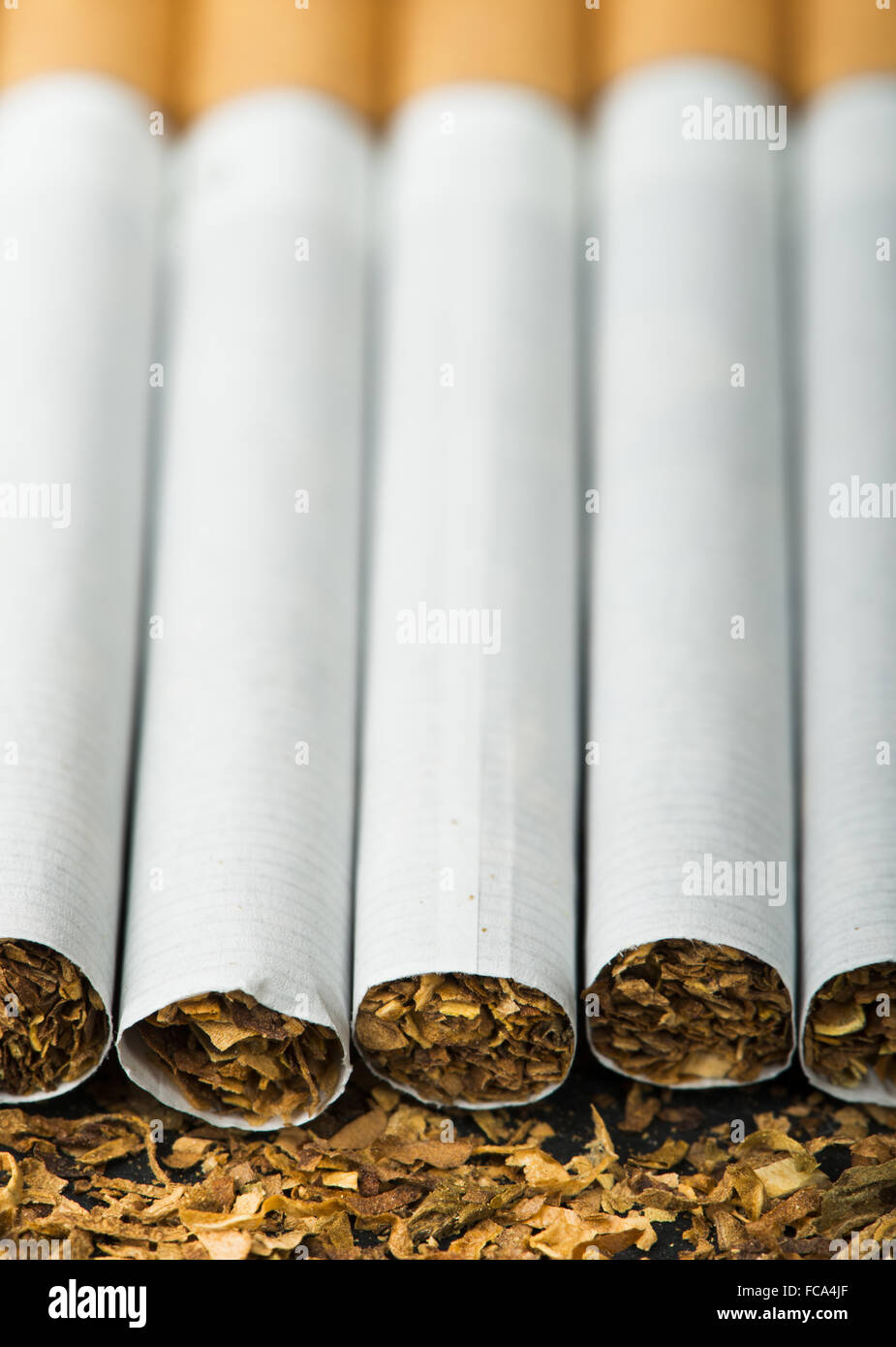 cigarettes in a row Arranged in a row cigarettes Stock Photo