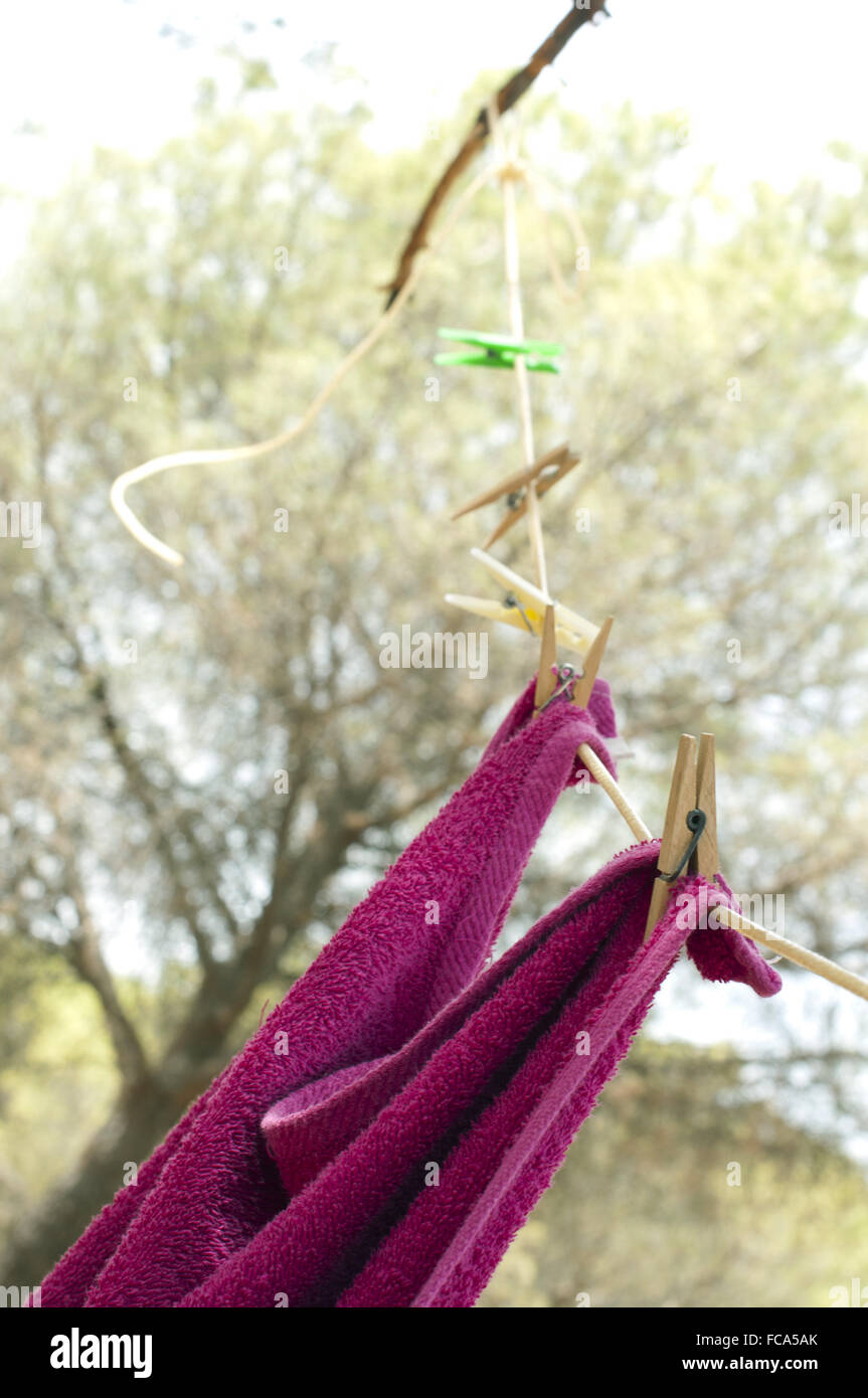 Clothes dryer on tree branch Stock Photo Alamy