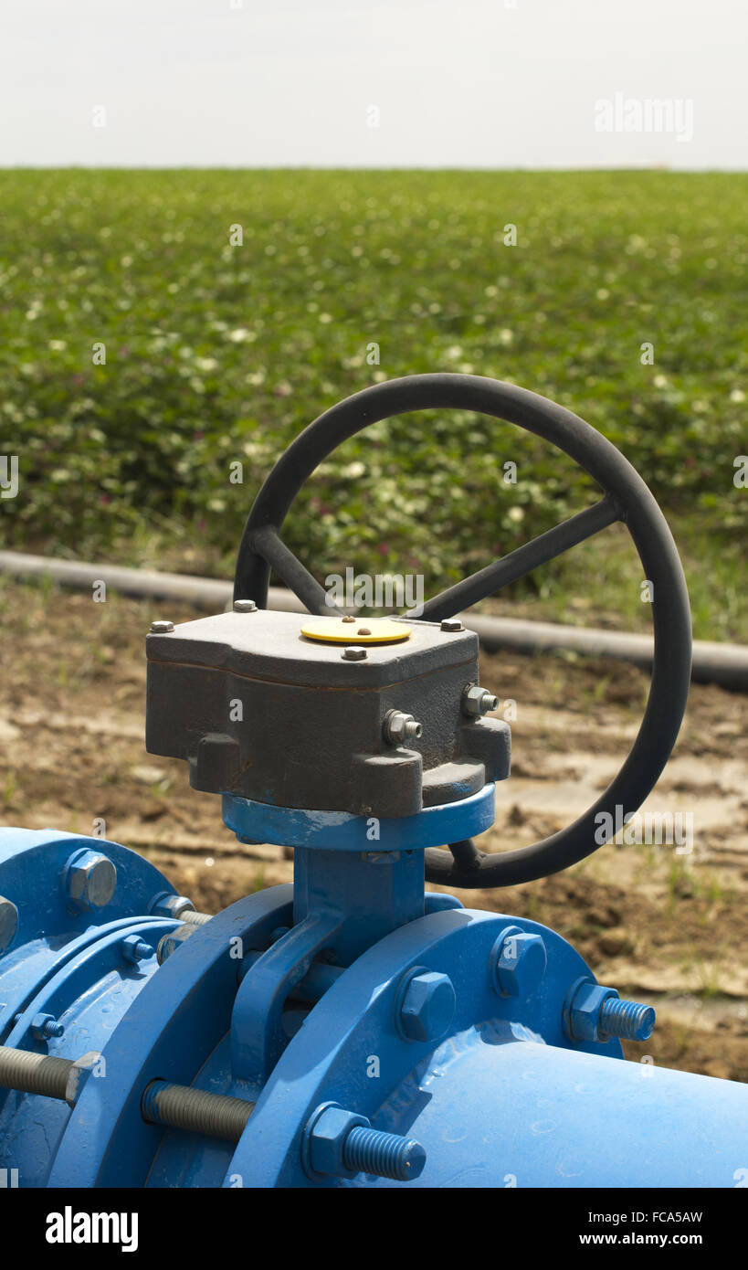Automated irrigation systems hi-res stock photography and images - Alamy