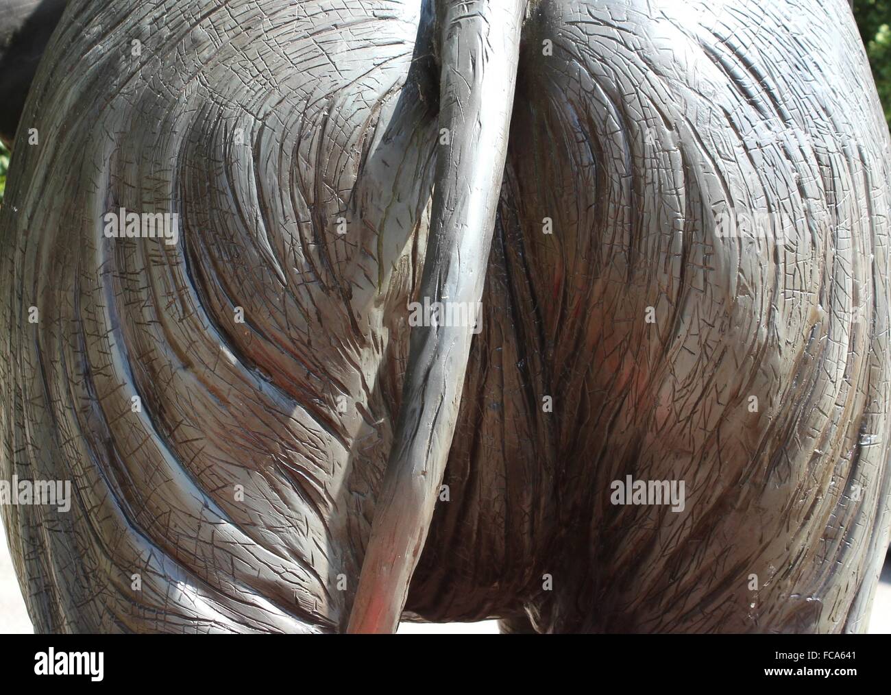 Backside of an elephant Stock Photo