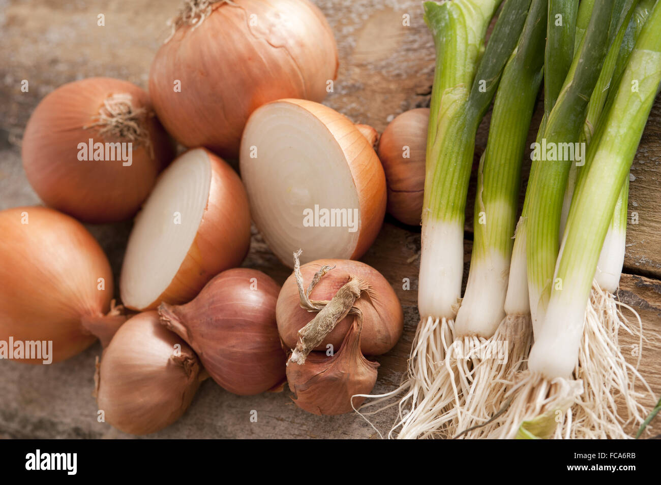 Fresh brown onions with scallions Stock Photo