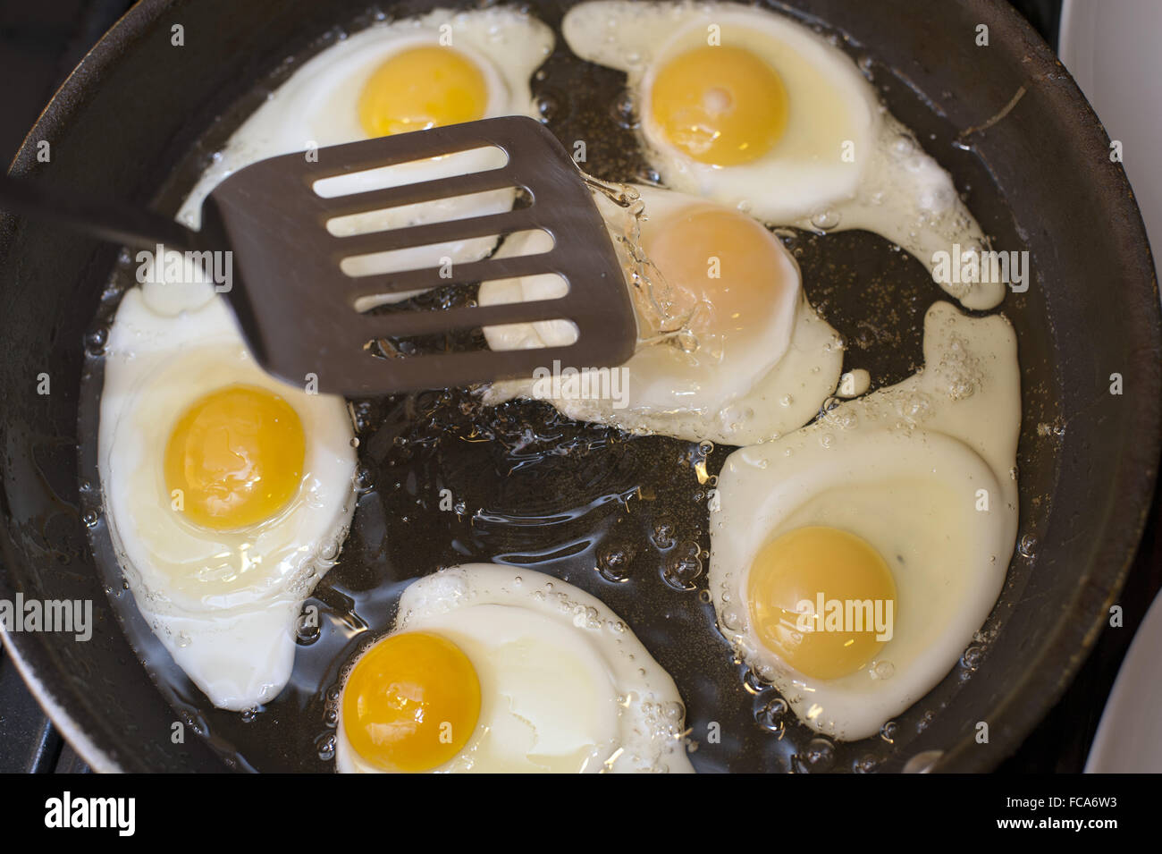 Cooking fried eggs Stock Photo