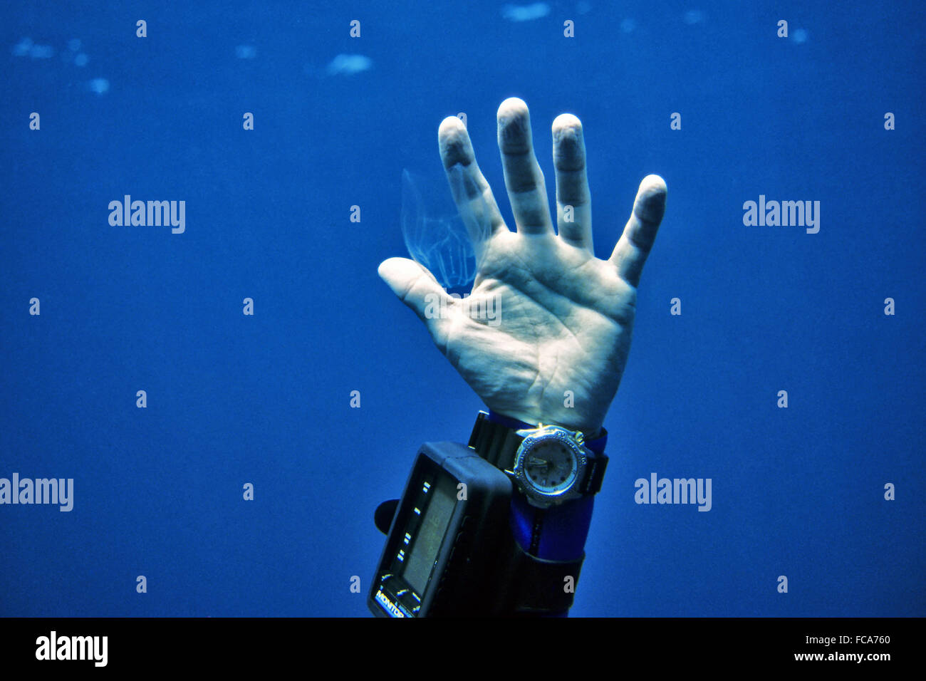 Diver┬┤s Hand with Jellyfish Stock Photo
