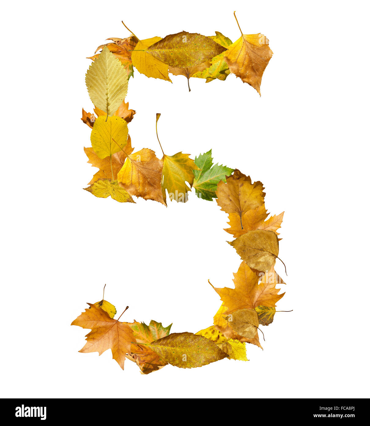 Number five made of autumn leaves Stock Photo - Alamy