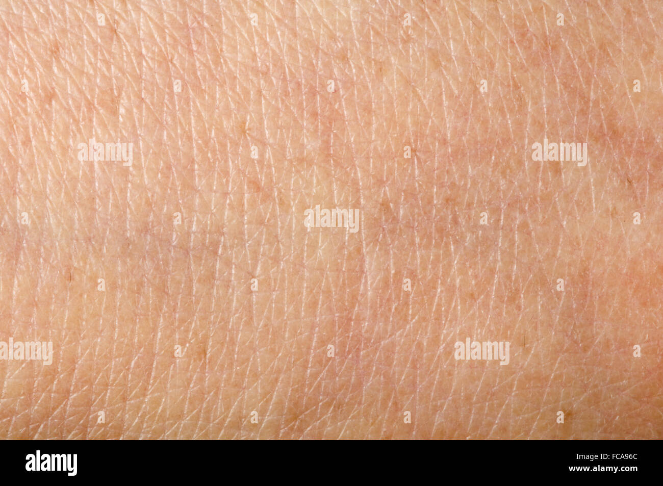 pores human stock photos pores human stock images alamy pores human stock photos pores human stock images alamy pores human stock photos pores human stock images alamy pores human stock photos pores human stock images alamy