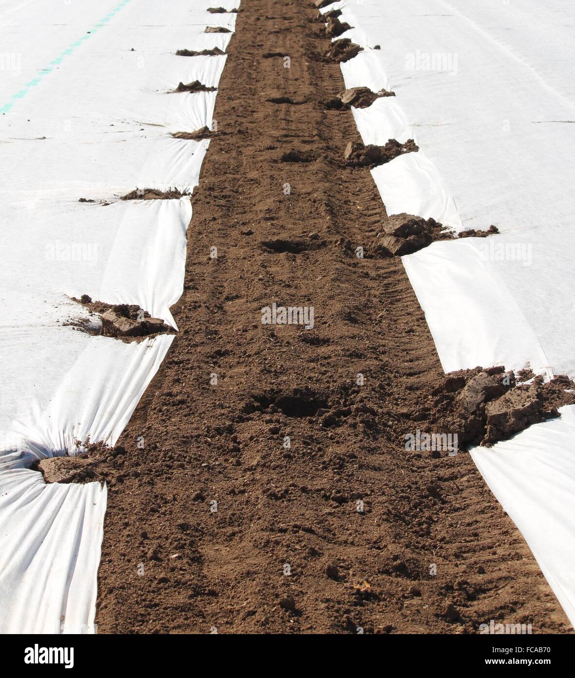 Field with protective sheet Stock Photo