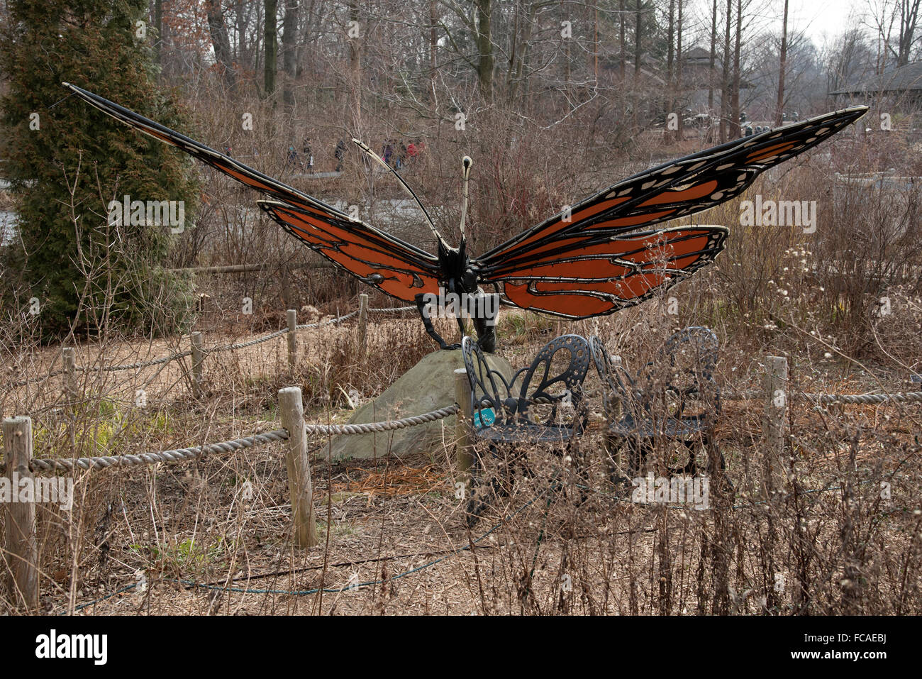 A butterfly in the Everett Children's Adventure Garden within the NY Botanic Gardens New York