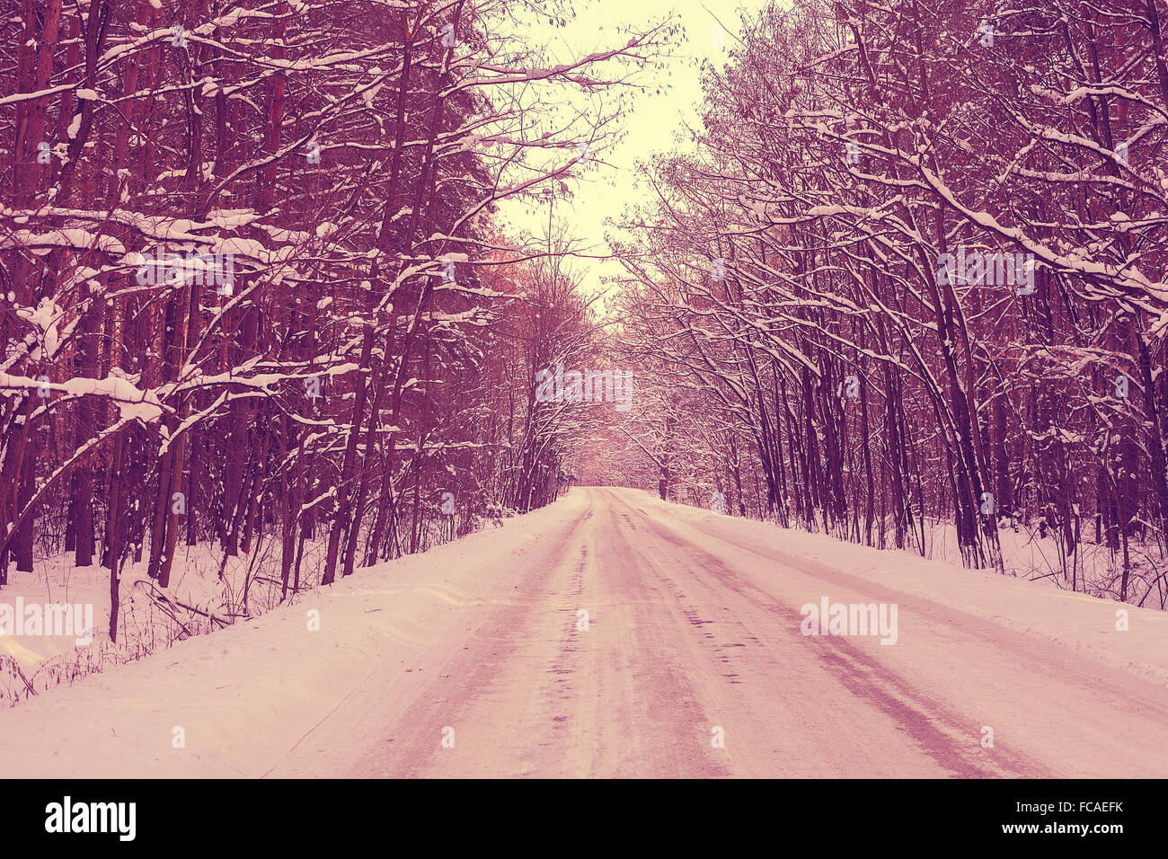 The road in the winter forest Stock Photo - Alamy