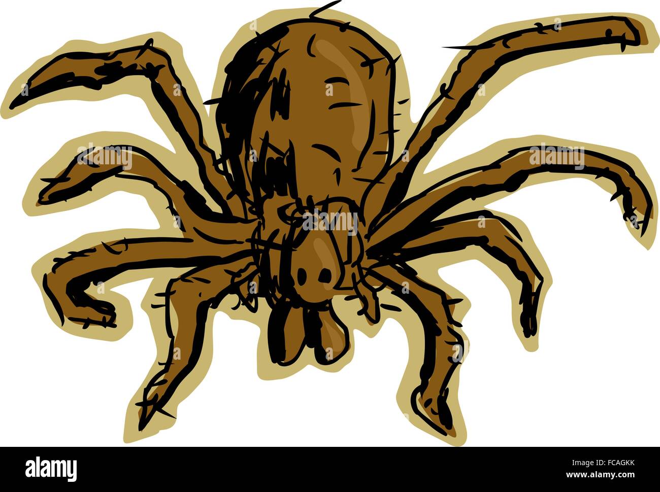 Close up top down view of brown, hairy hobo spider over white background Stock Vector