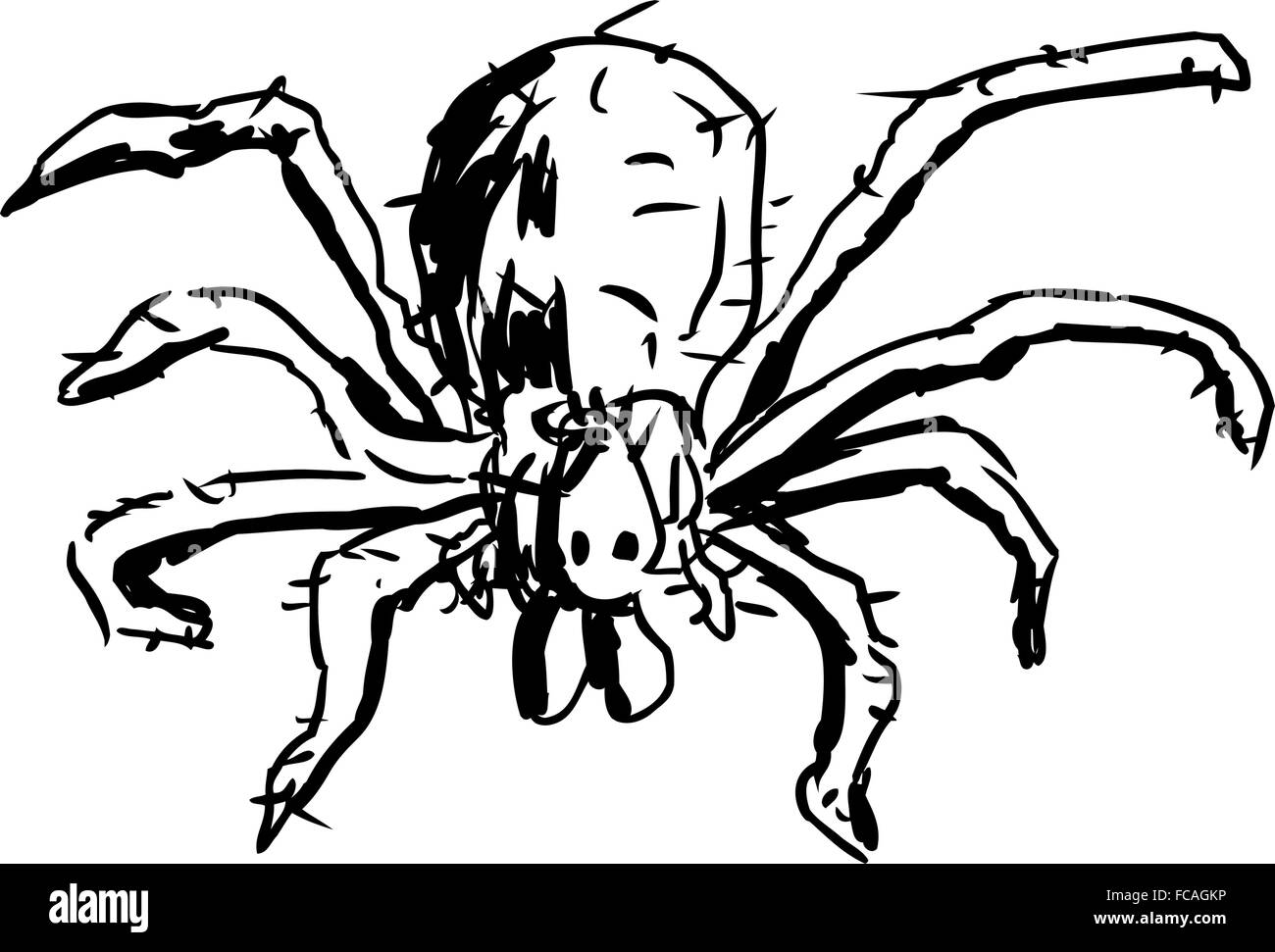 Close up top down view of outlined hobo spider over white background Stock Vector