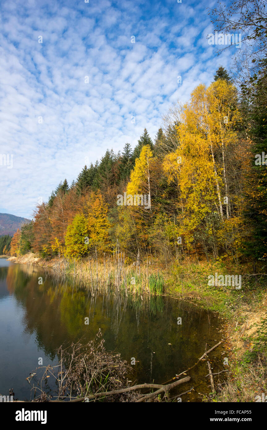 Autumn tree mountain and lake. Cuejdel lake was born 30 years ago (a landfall on river Cuejdel), Today is the biggest dam Stock Photo