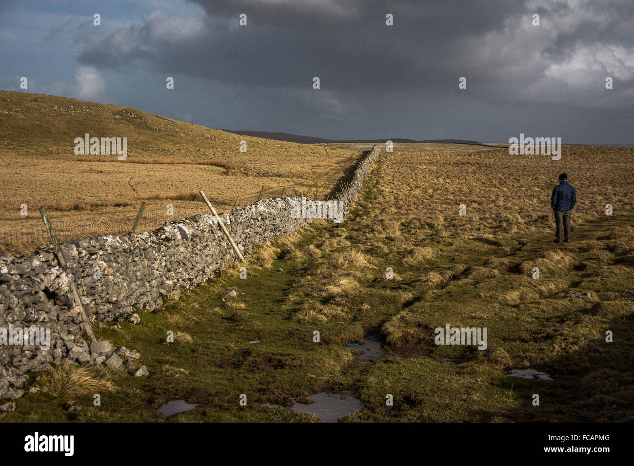Hillwalking along an old stone wall near Malham in the Yorkshire Dales Stock Photo