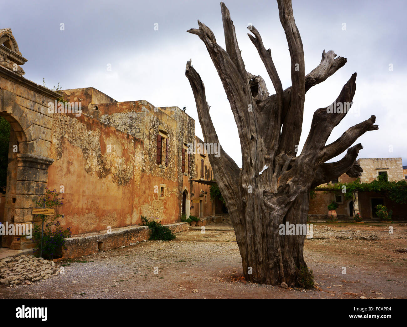 Burned tree with arrow pointing to bullet from Turk attackers sticking in it, Arakdi Monastery, Crete, Greece Stock Photo