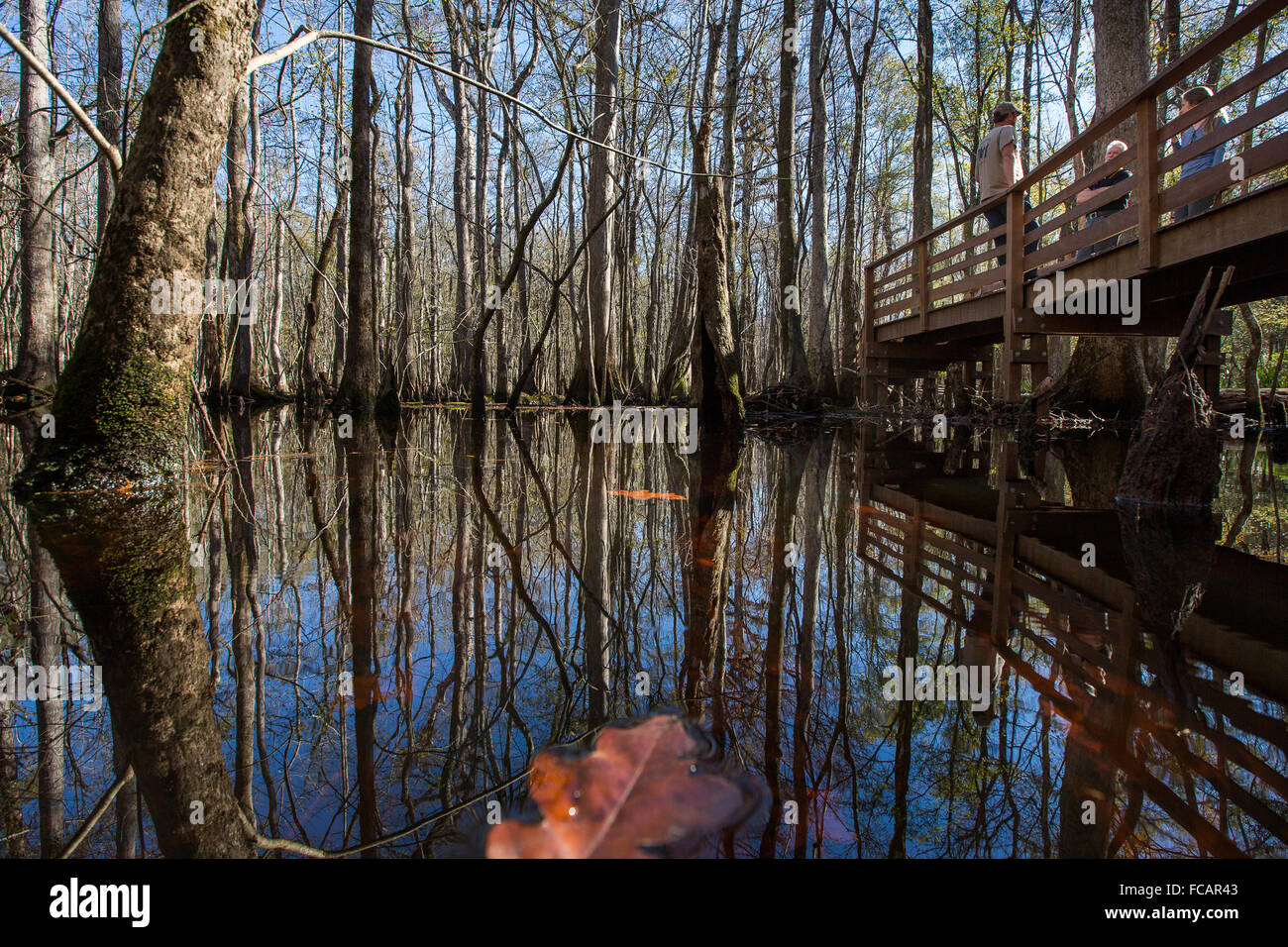 Charleston boardwalk hires stock photography and images Alamy