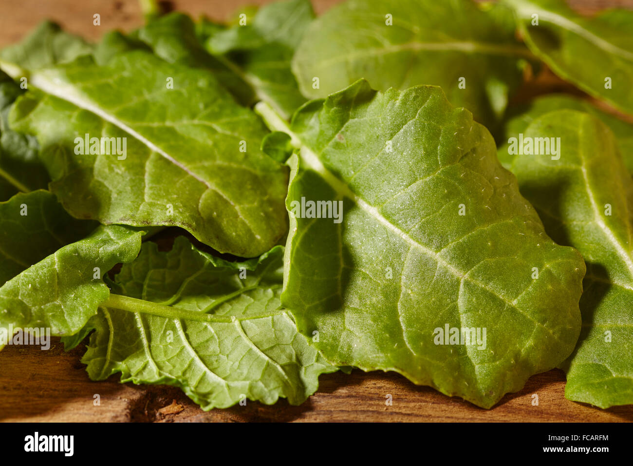 baby kale leaves Stock Photo