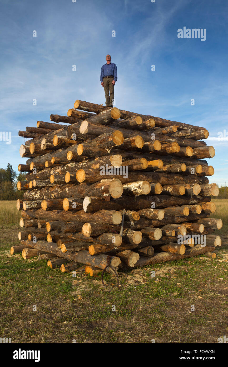 Canadian artist Peter von Tiesenhausen stands on a sculpture of beetlekill logs on his property in Demmitt, Alberta. Stock Photo