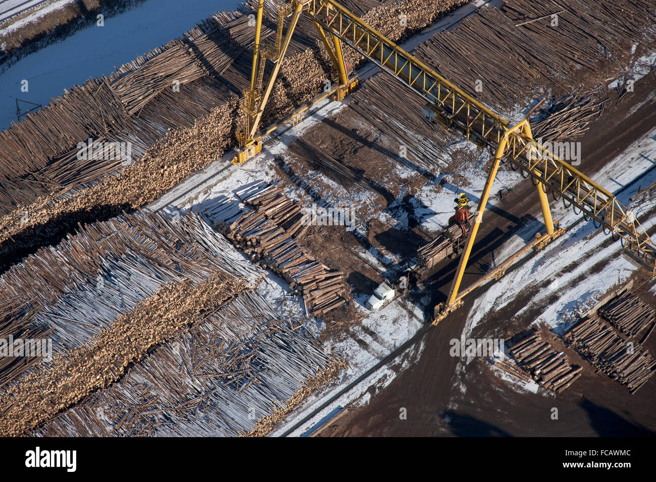 Weyerhaeuser Log Yard, Grande Praire, Alberta, Canada Stock Photo