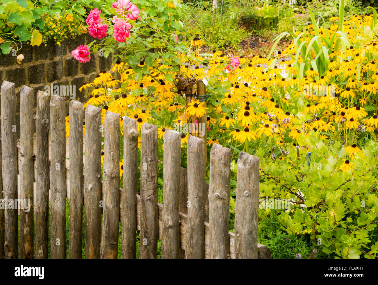 Wooden fence blooming flowers hi-res stock photography and images - Alamy