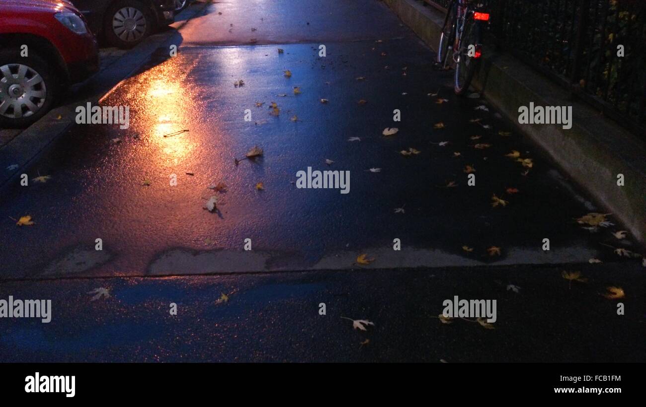 Dry Leaves On Pavement Stock Photo Alamy