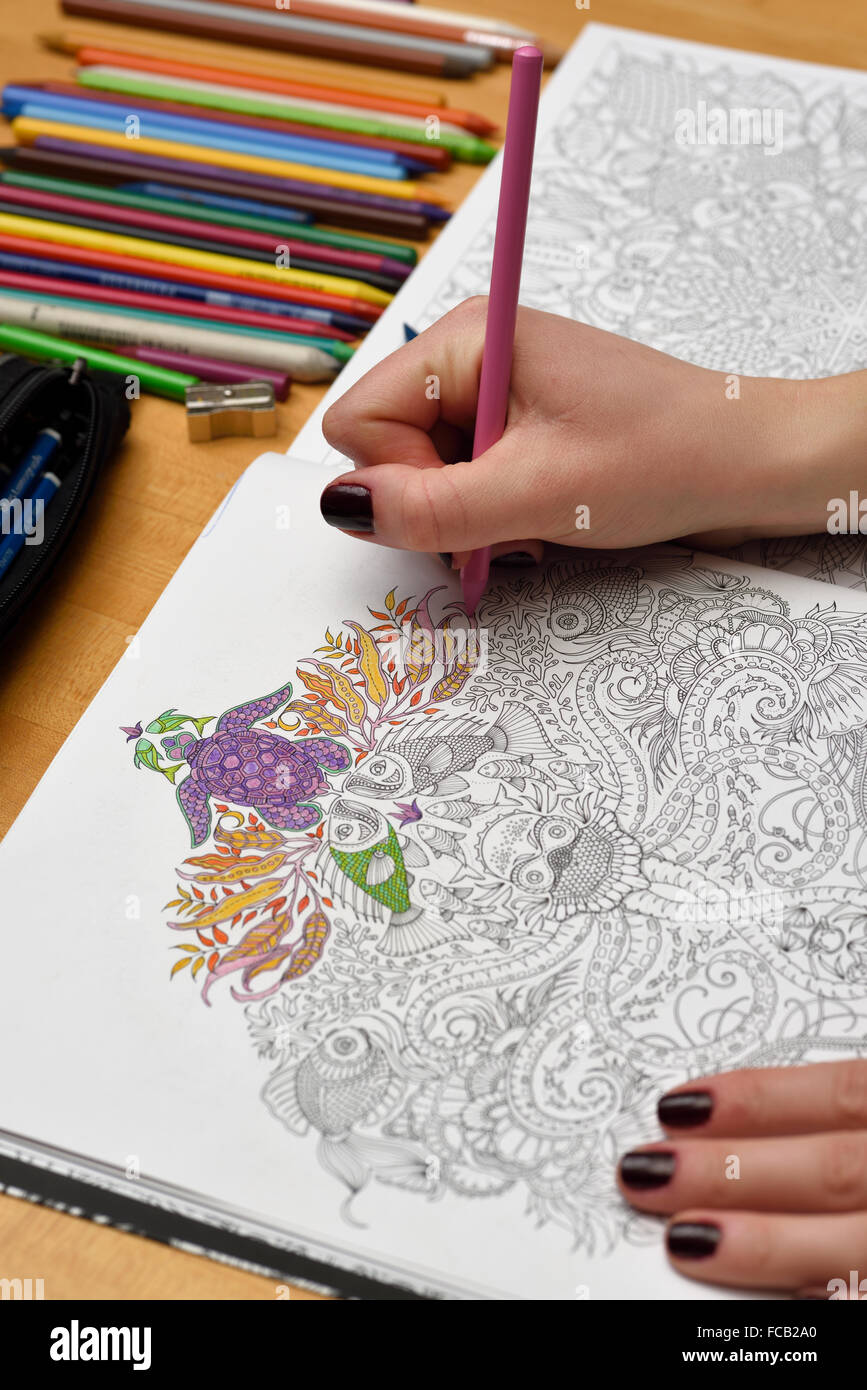 Adult woman with pink pencil starting an undersea coloring book on a wood table Stock Photo