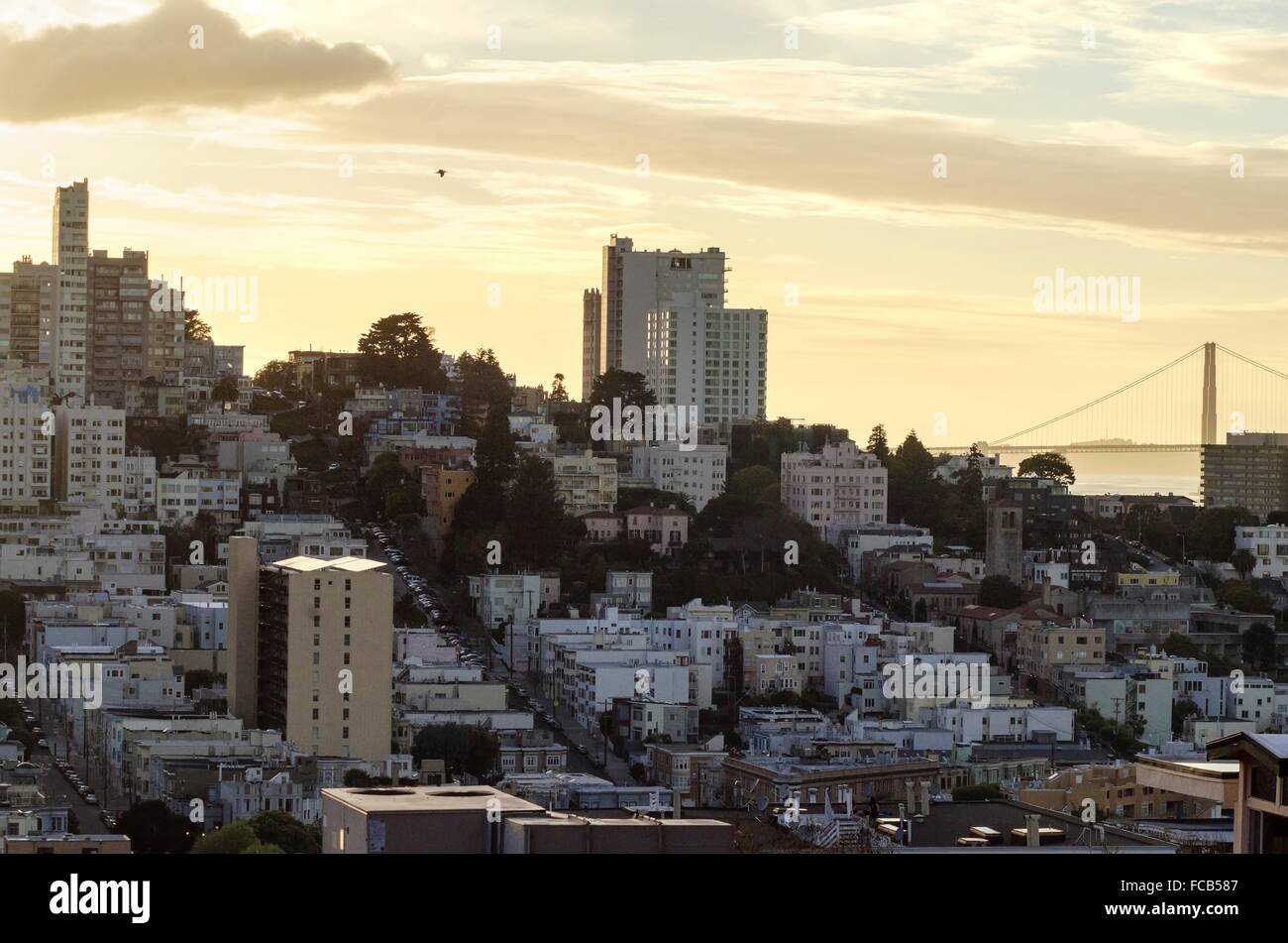 A side view of the famous San Francisco Golden Gate Bridge and Lombard