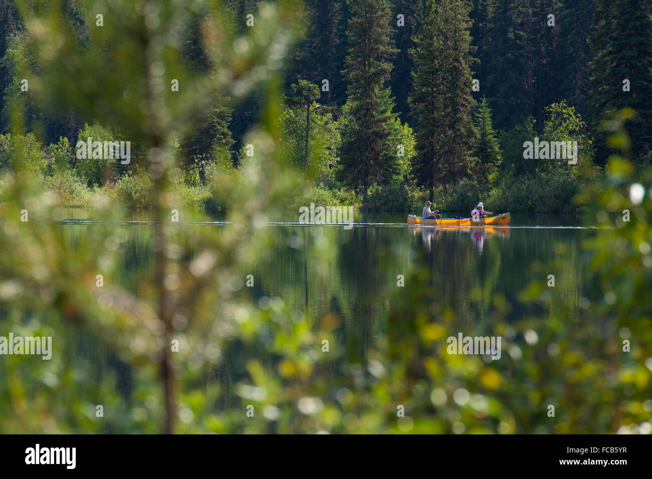 A couple paddle a yellow canoe across Unna Lake in Bowron Lake Provincial Park. Stock Photo