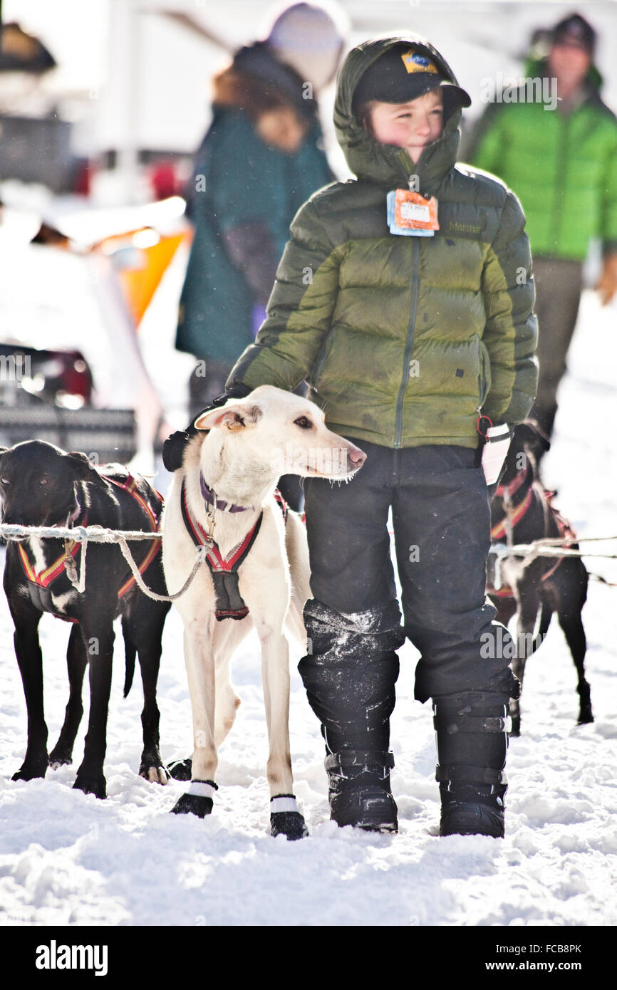 A boy and his sled dog preparing to race. Stock Photo