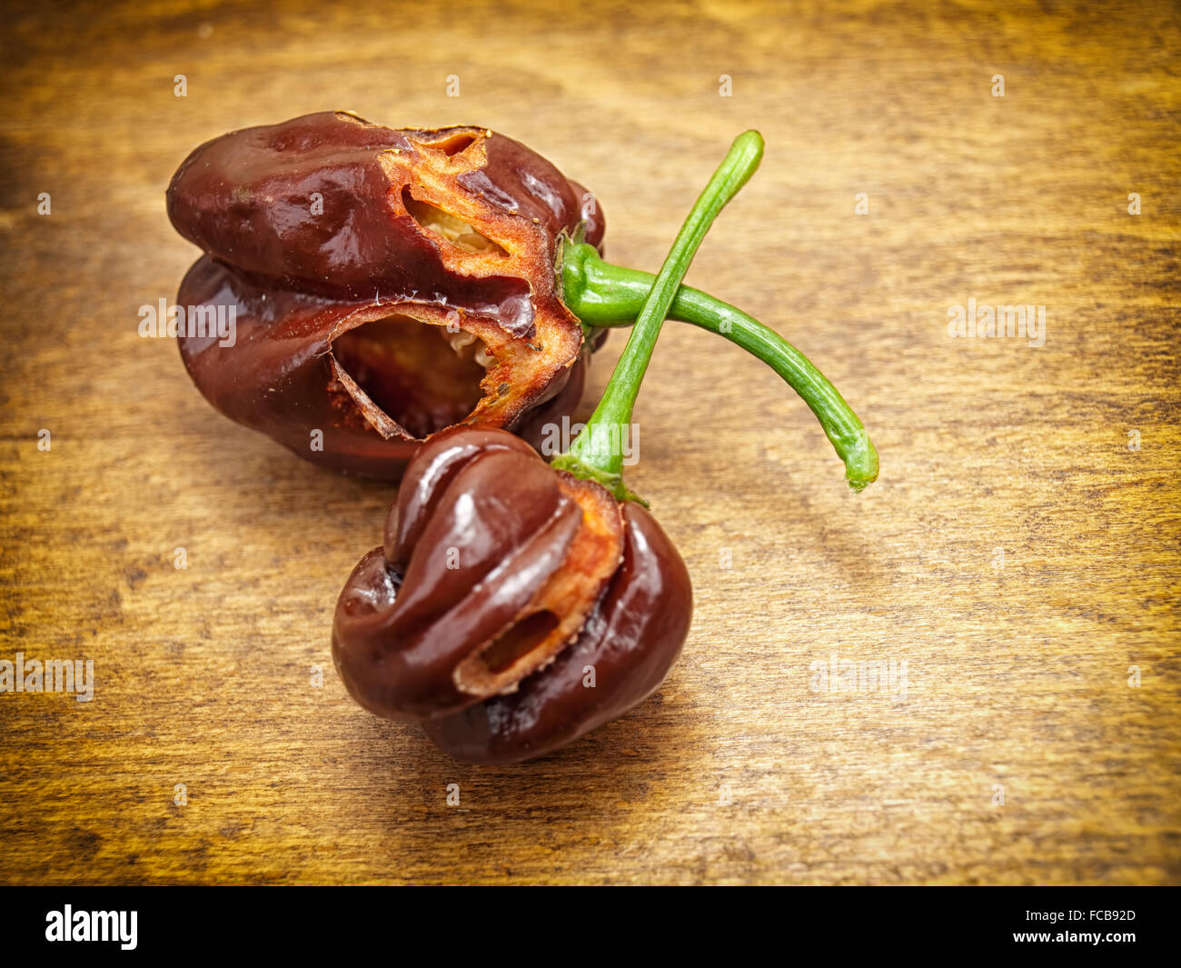 Two chocolate Habaneros destroyed by snails Stock Photo Alamy