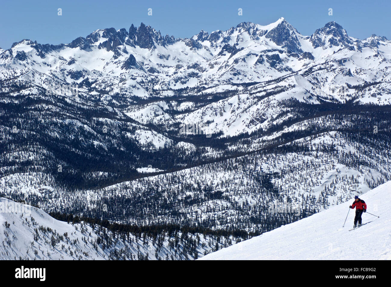 Skiing on a fresh powder day at Mammoth Mountain Resort, California Stock Photo