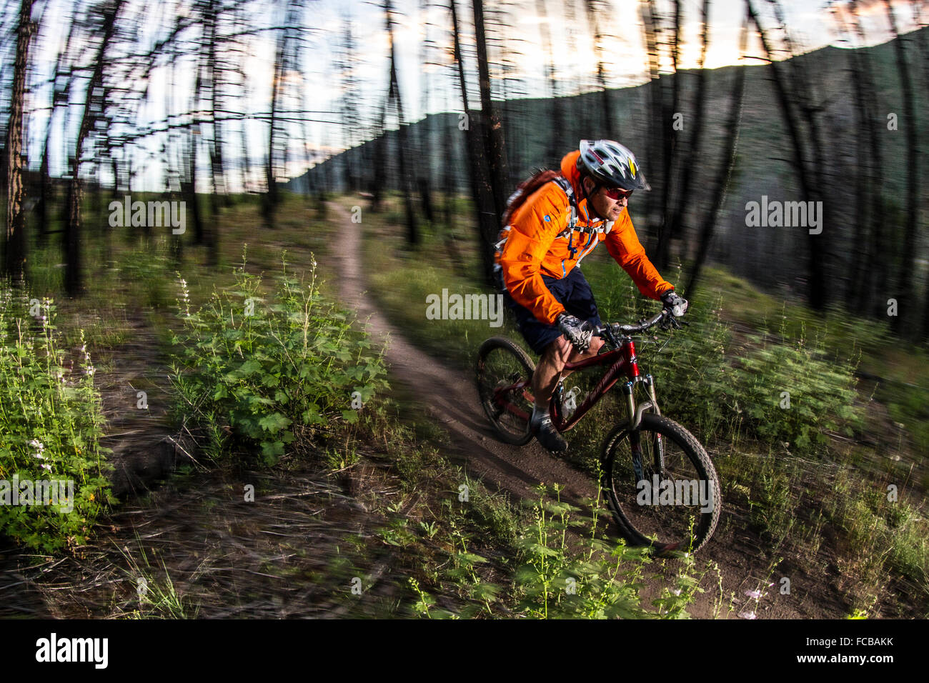 Mountain Biking Corral Creek, Sun Valley, ID Stock Photo Alamy