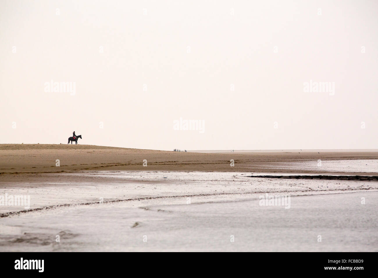 Netherlands, Renesse, Woman riding horse on beach Stock Photo